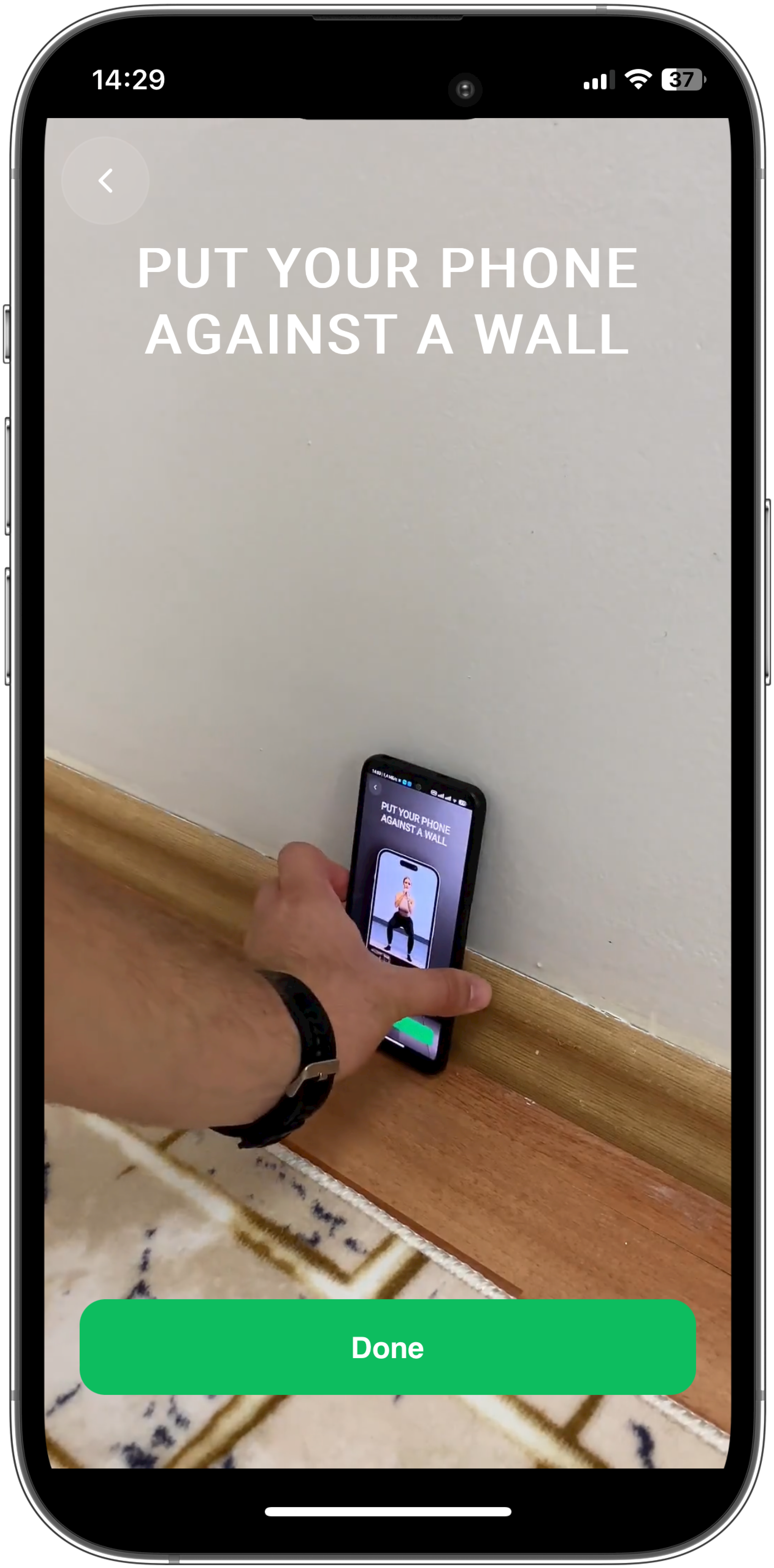 Kinestex hanno media 7