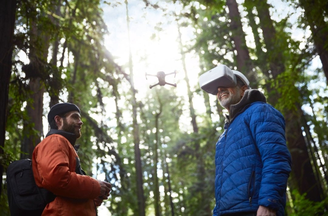 DJI Goggles Image