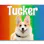 Photo Tag (Rainbow)