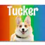 Photo Tag (Rainbow)