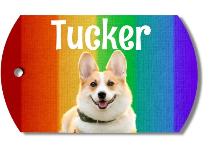 Photo Tag (Rainbow) - Product Hunt launch logo and brand identity