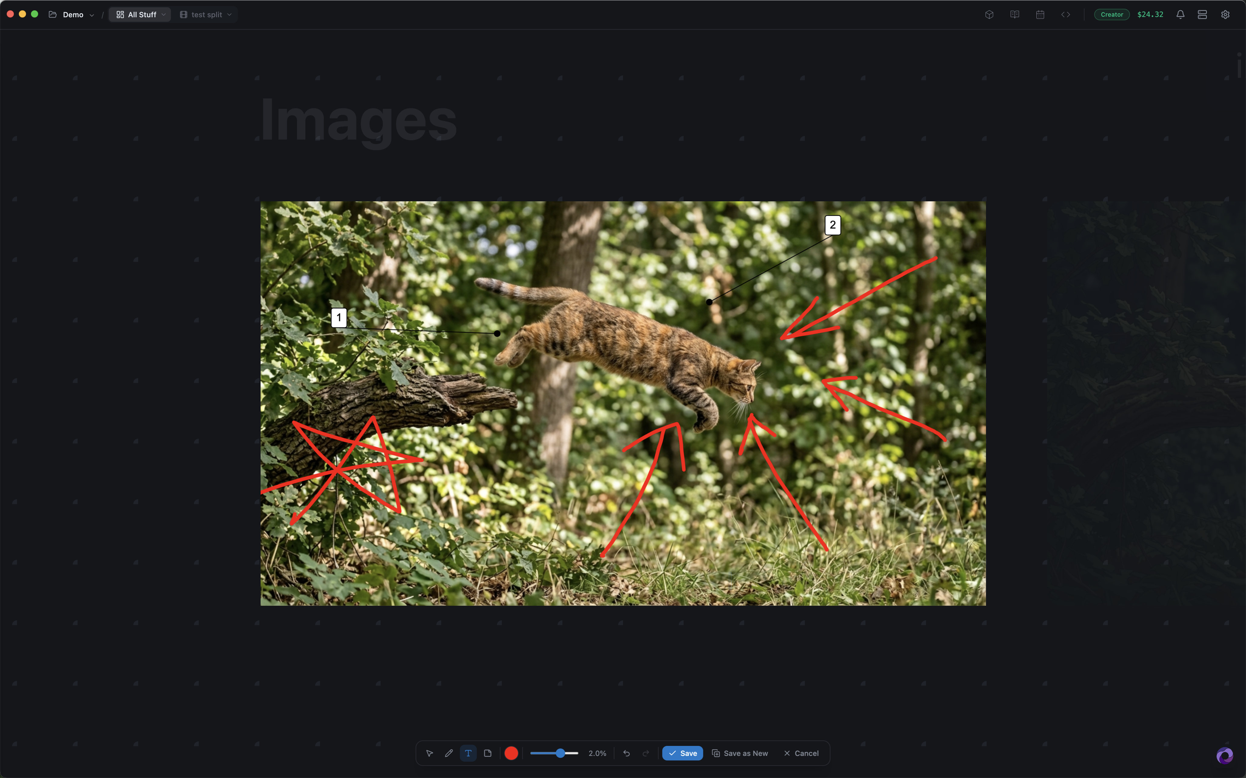 Iris Studio gallery image