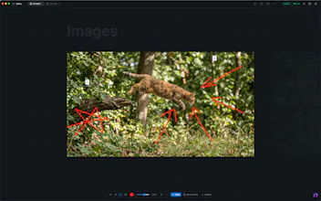 Iris Studio gallery image