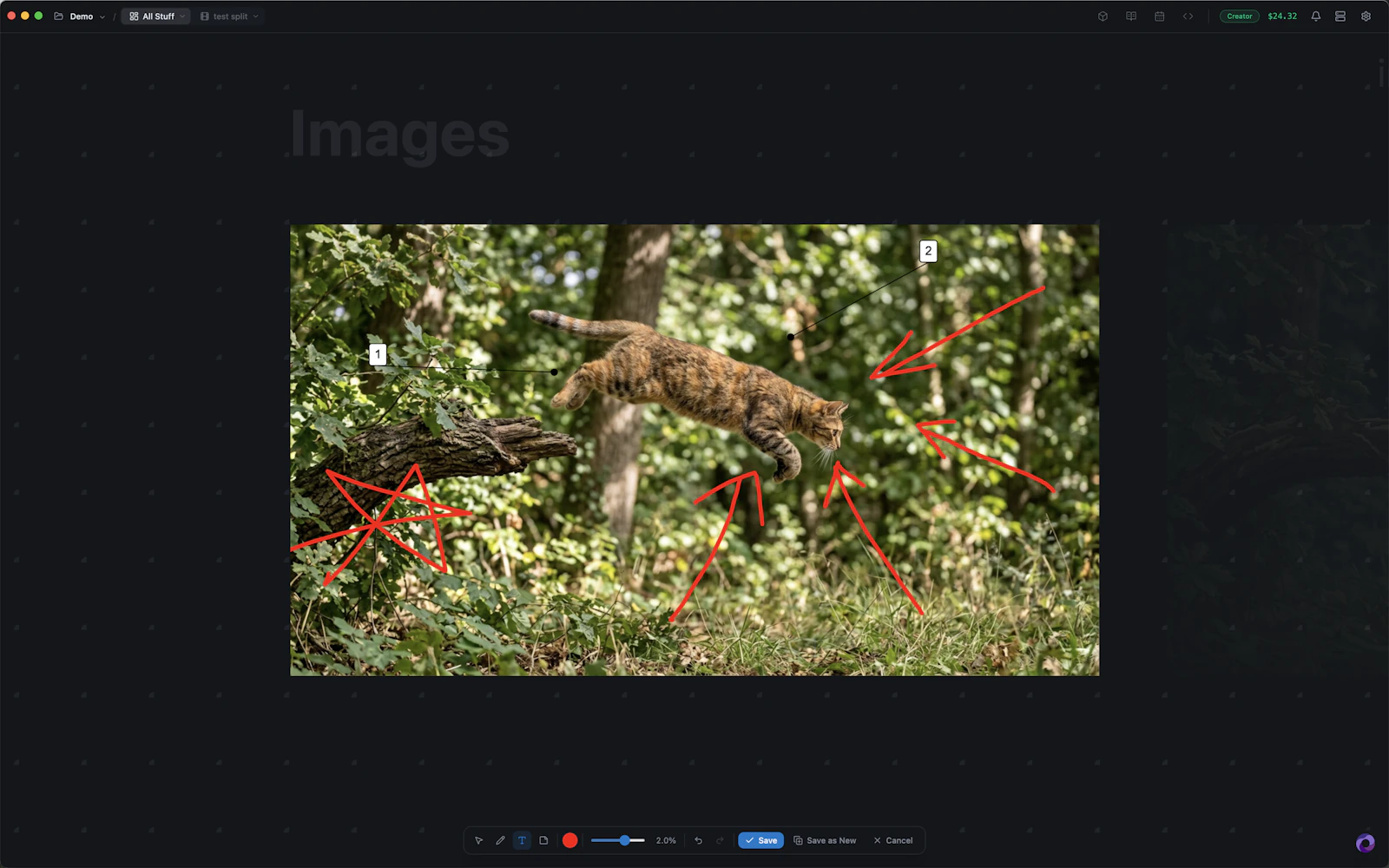 Iris Studio screenshot 7