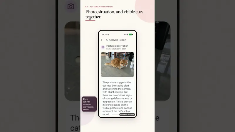 MeowMood screenshot 1 (video preview)