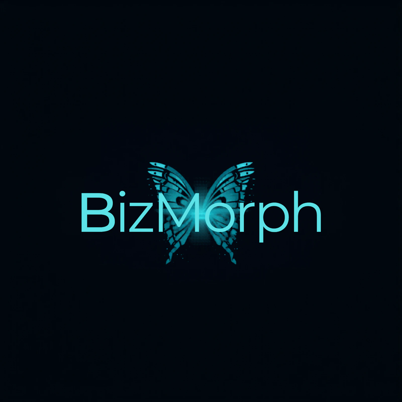 BizMorph screenshot 2