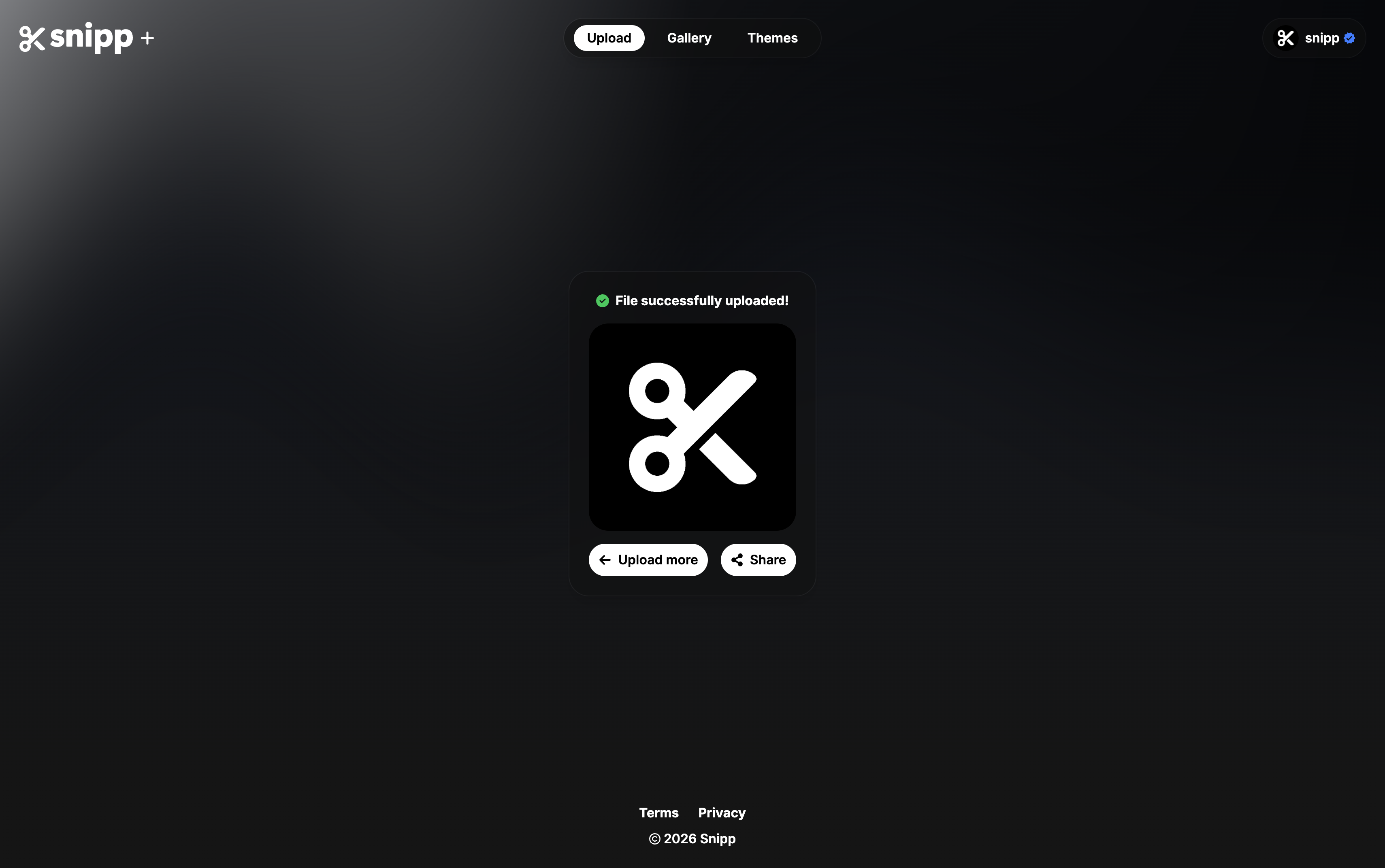 Snipp - Main product screenshot demonstrating key features and user interface