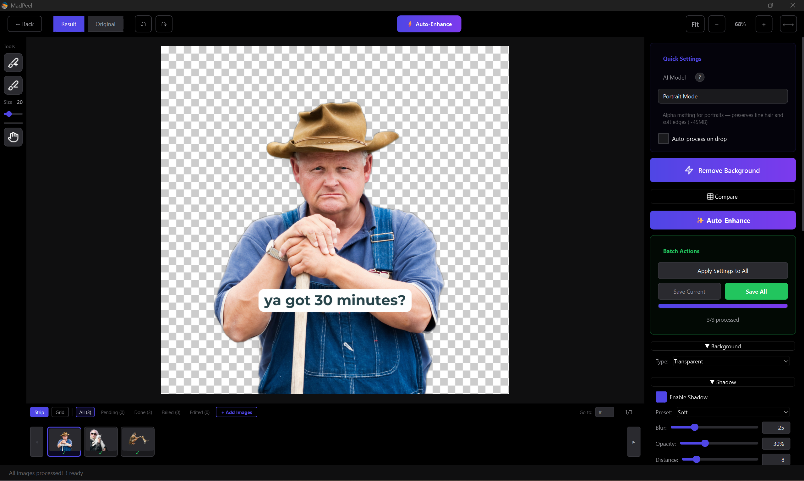MadPeel - AI Background Remover - Screenshot 3 showing product features and functionality