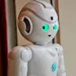 Lynx Robot