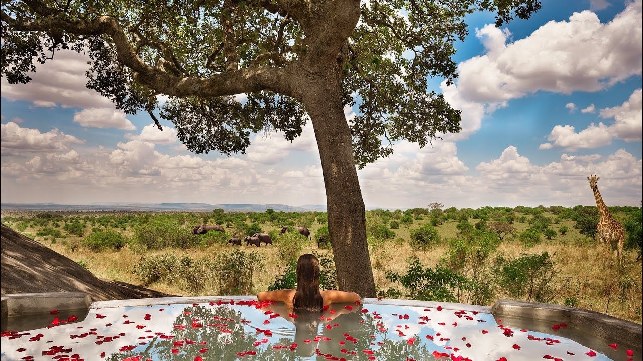 Postcard Travel Club gallery image