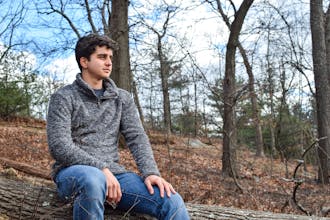 Boardwalk gallery image