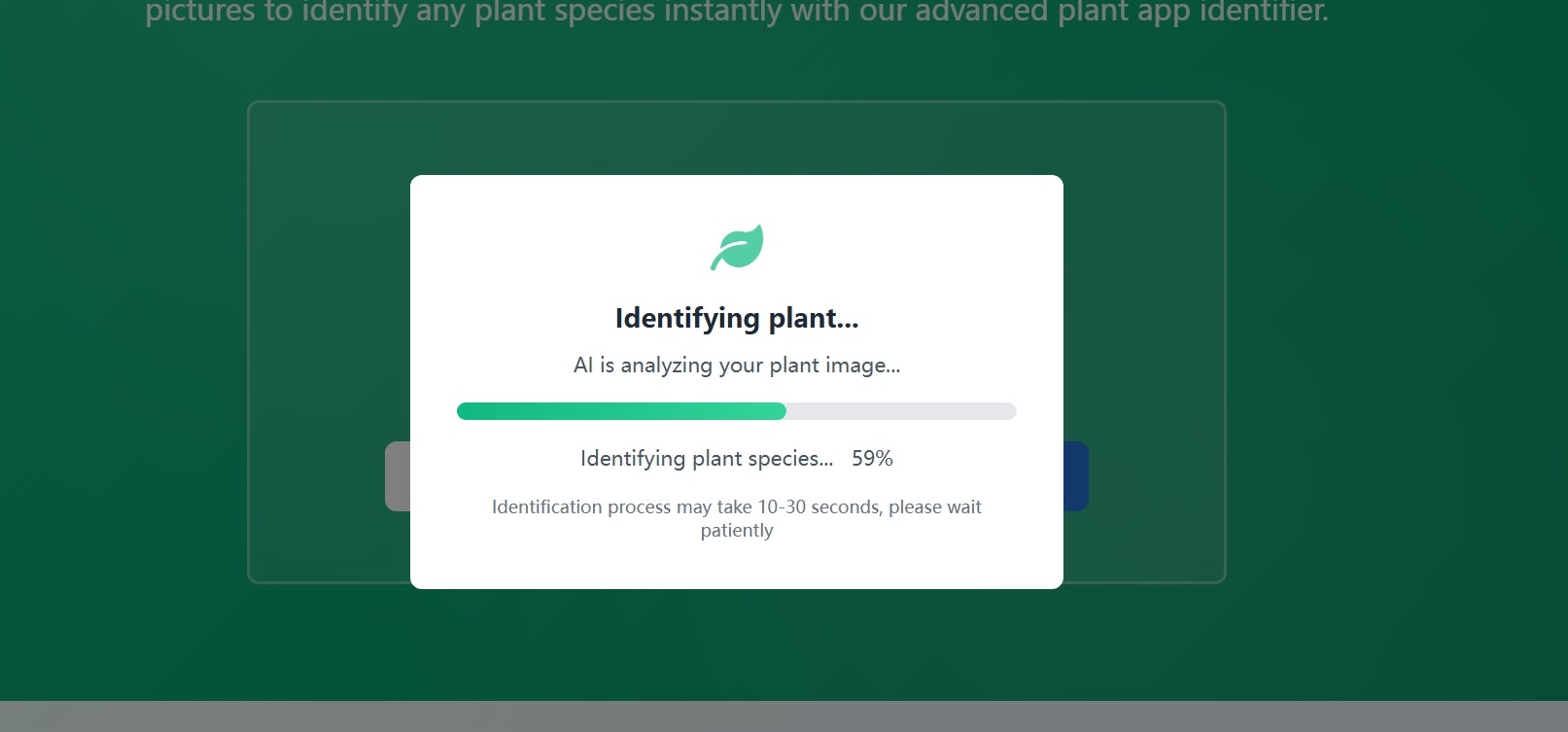 Plant App Identifier media 3