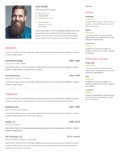 Resume Builder for WordPress gallery image