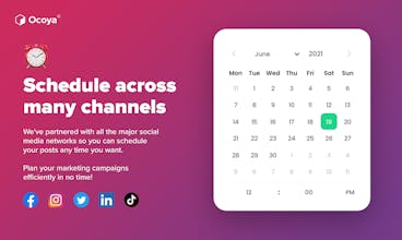 Ocoya 2.0 gallery image