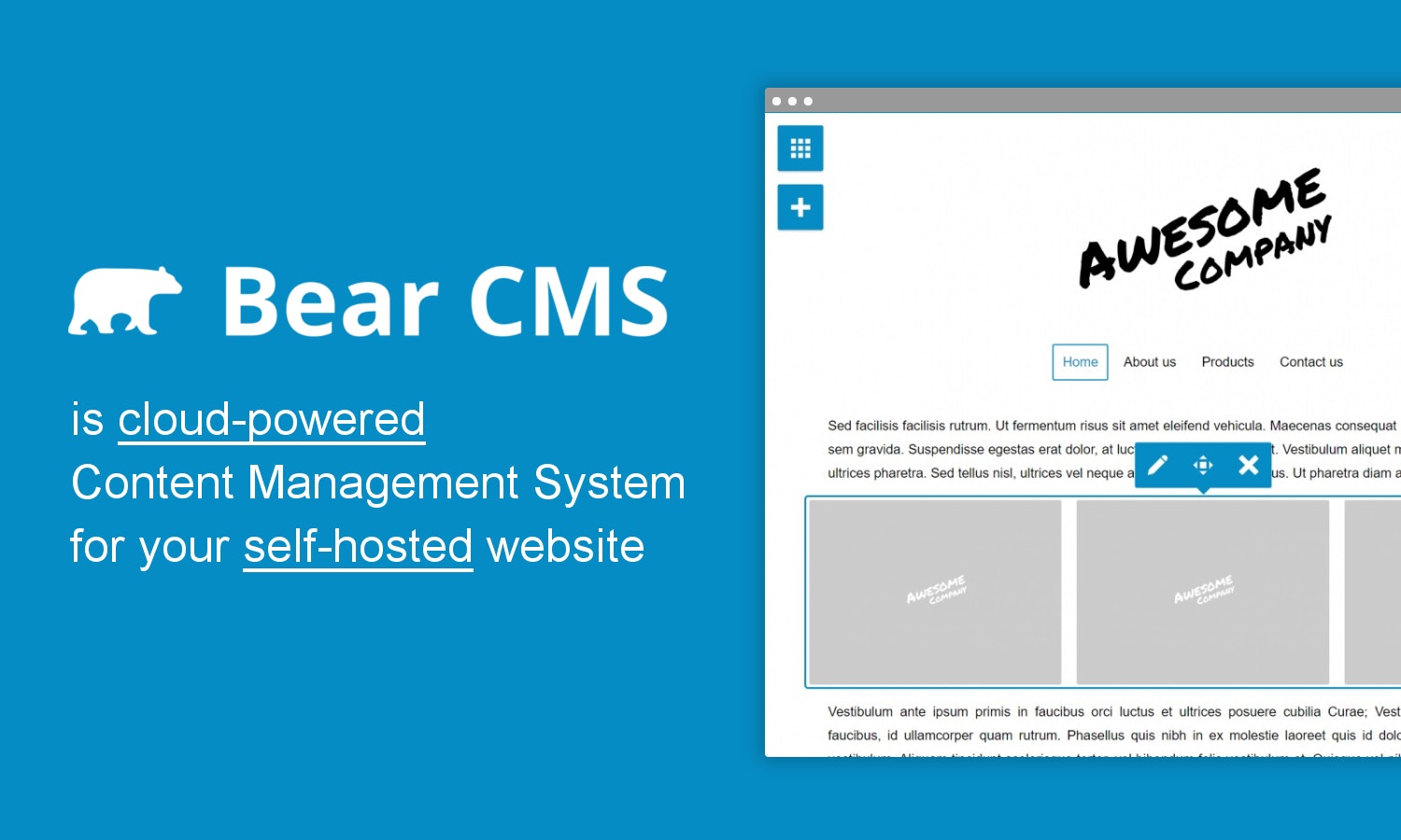 Bear CMS gallery image