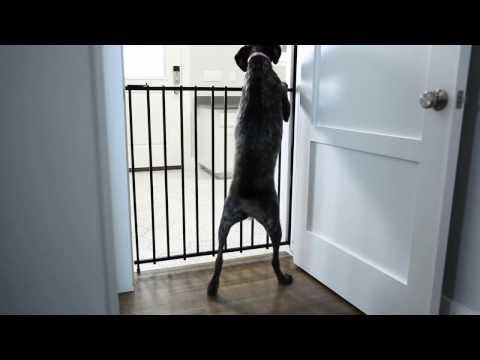 Hide A Gate gallery image