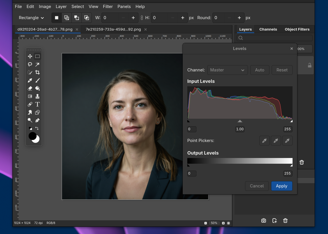 Fog Panther gallery image