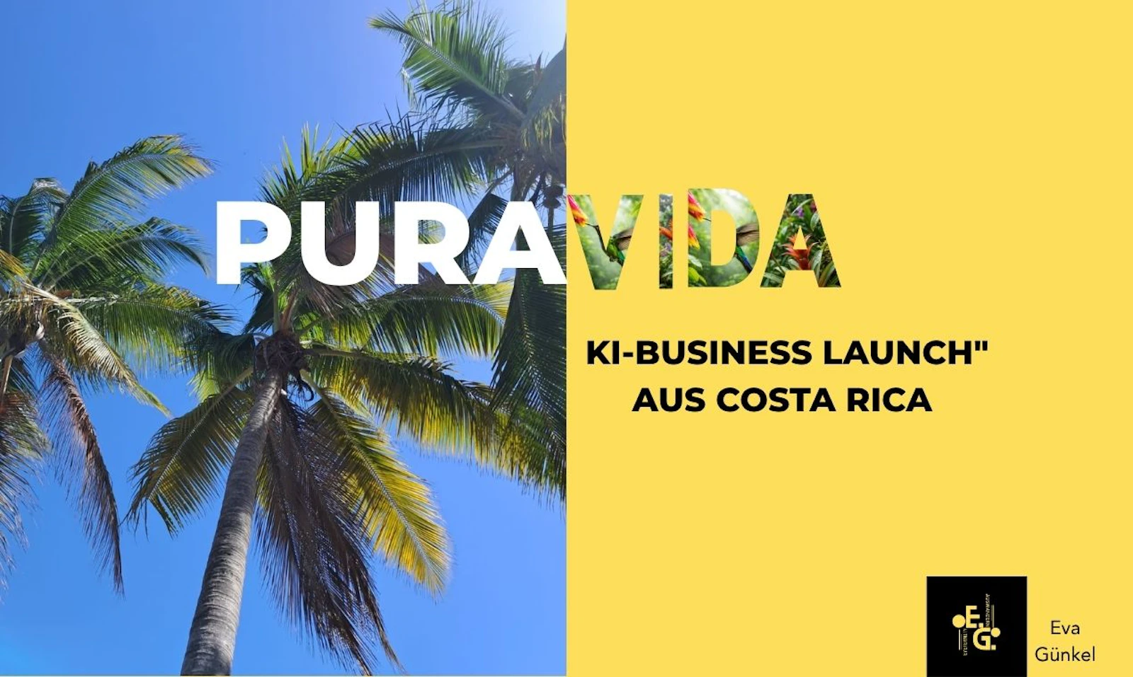 Pura Vida KI-Business Launch screenshot 2