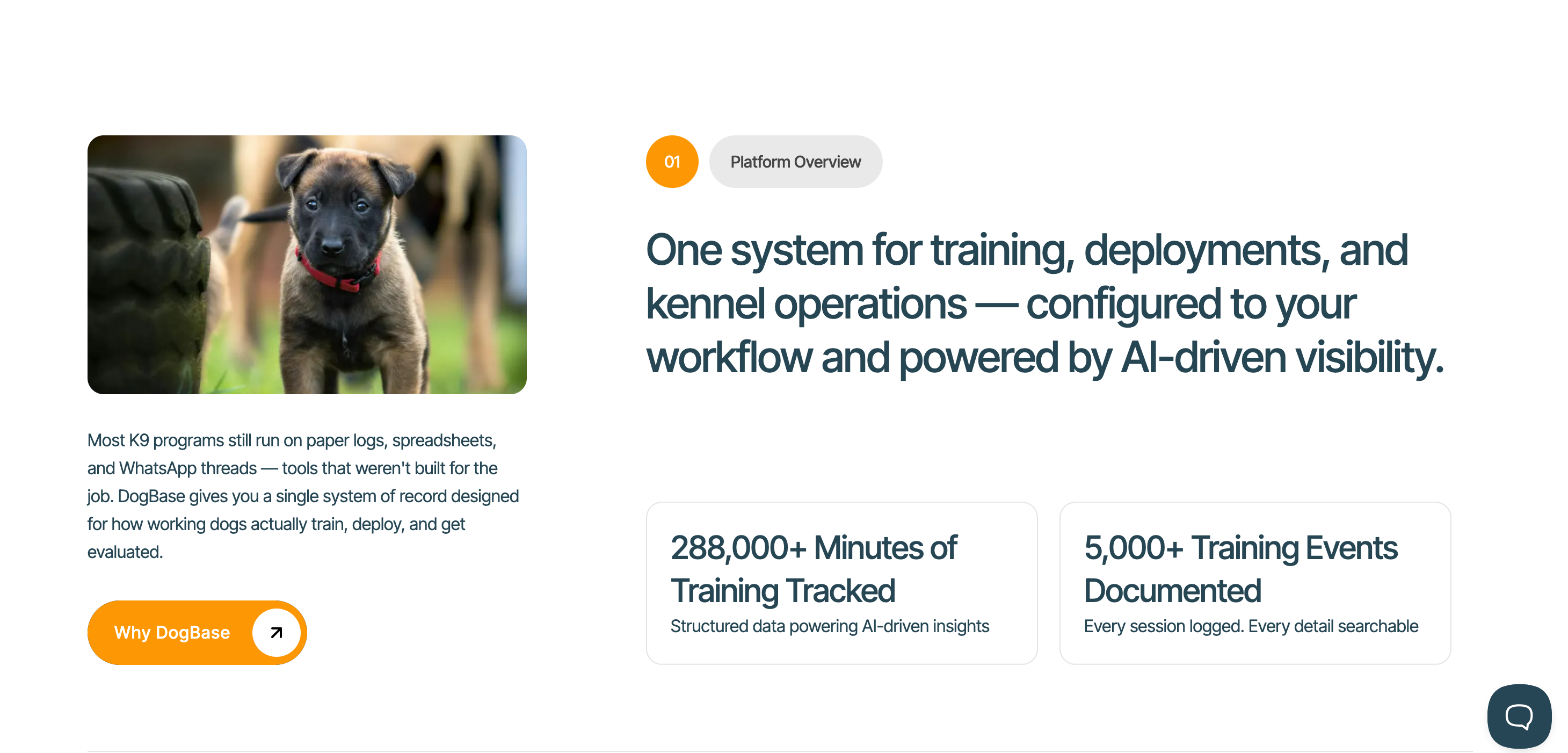 DogBase v2 Official Launch gallery image