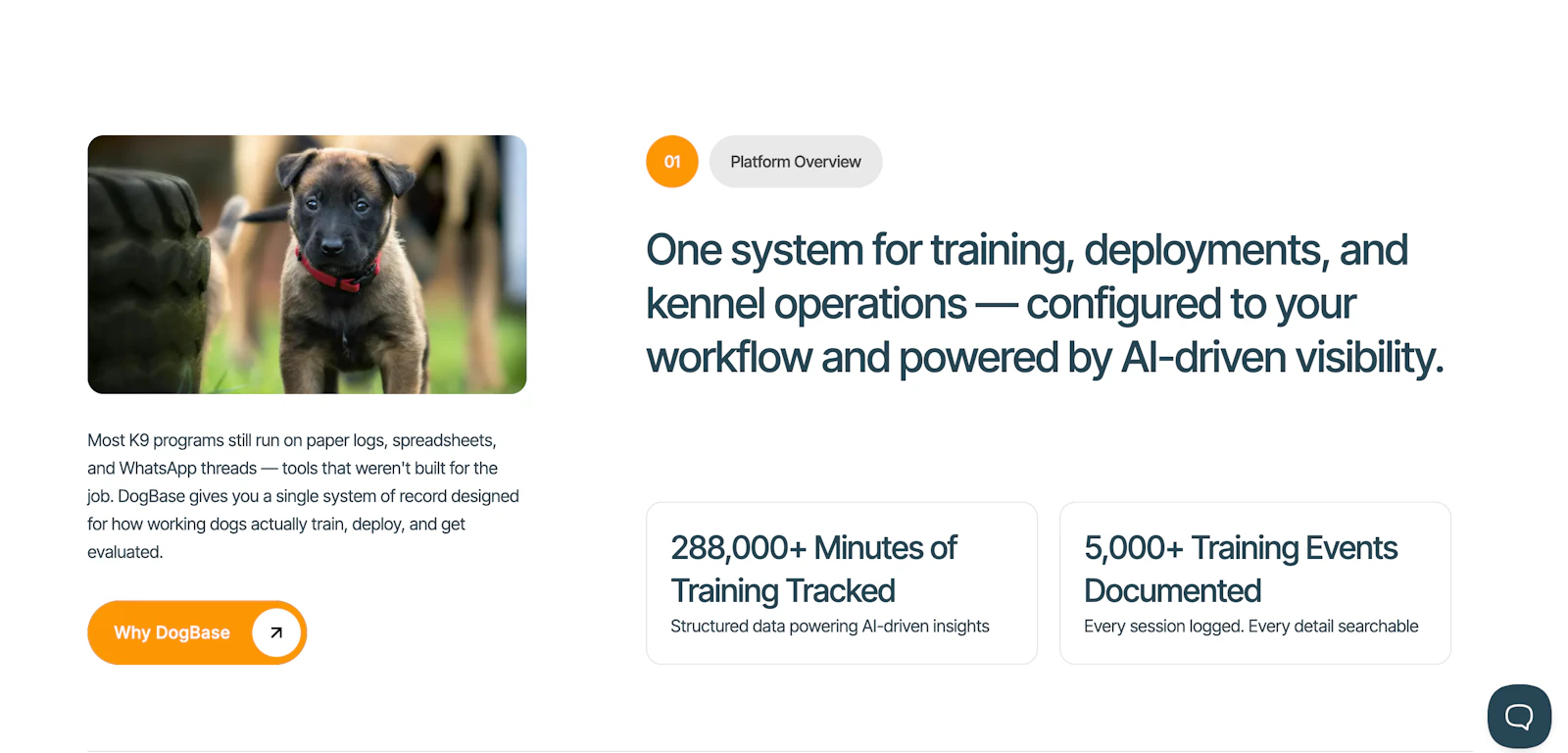 DogBase v2 Official Launch screenshot 2