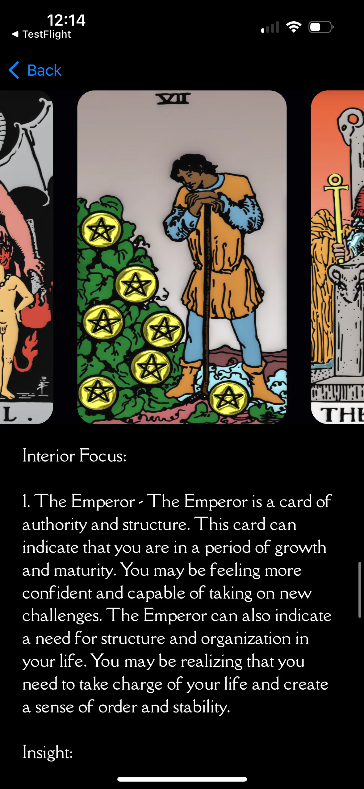 TAROT VICUNA gallery image