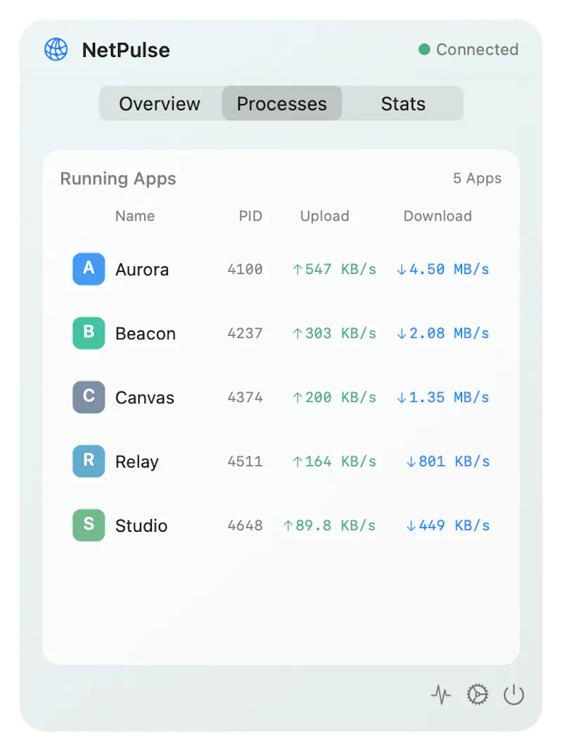 NetPulse screenshot 2