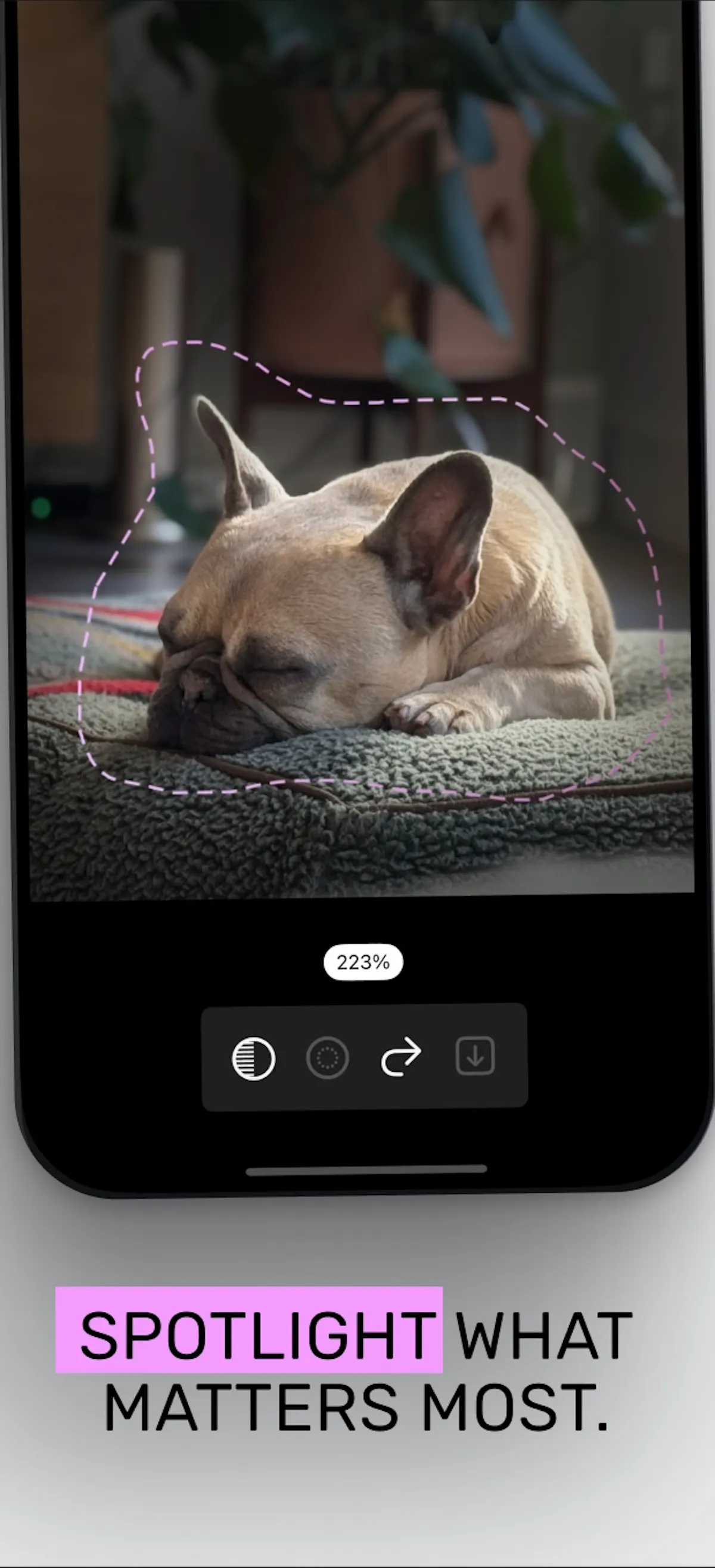 Snaplight for iOS and Mac