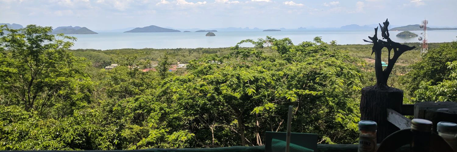 Tommy Griffith cover