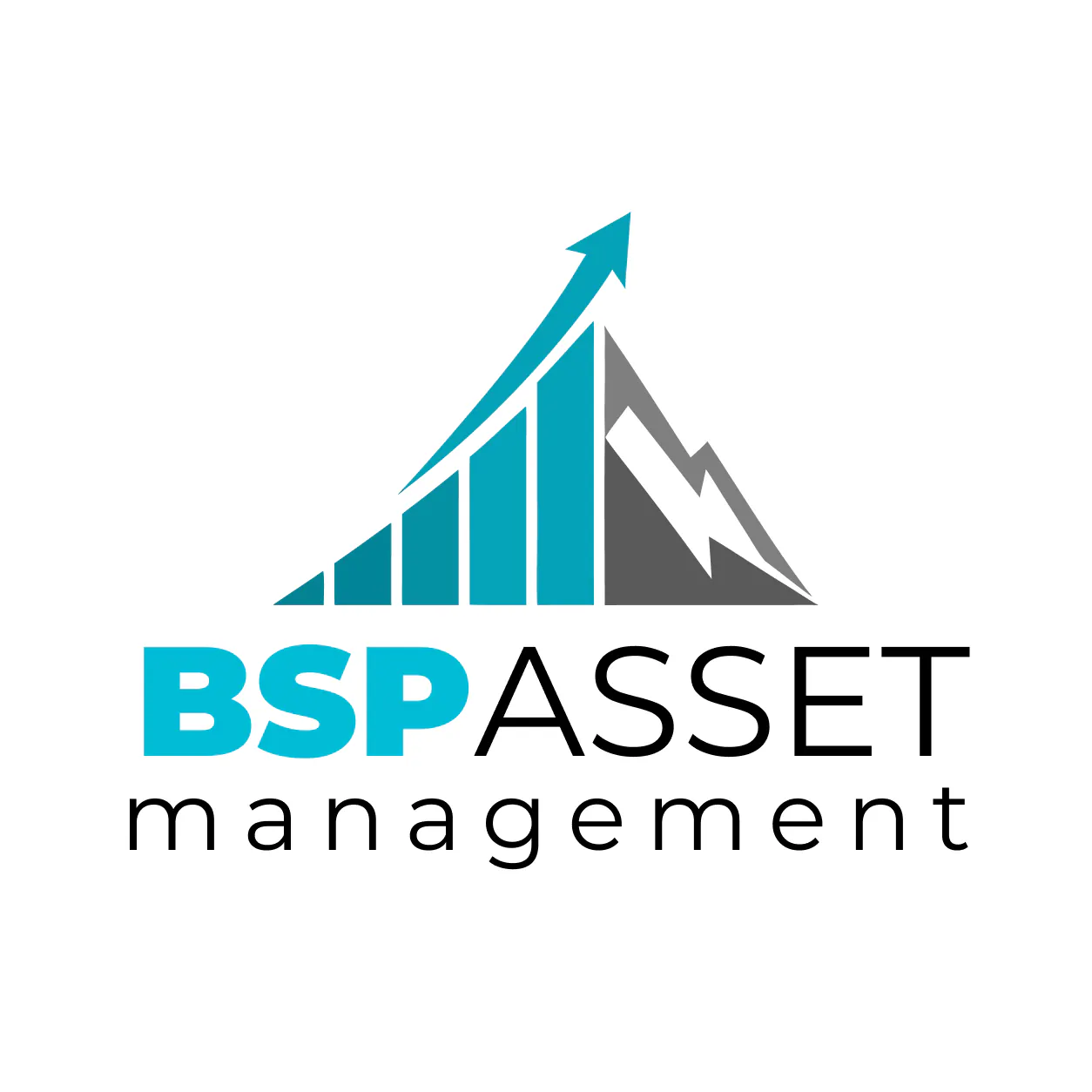 BSPAssetManagement