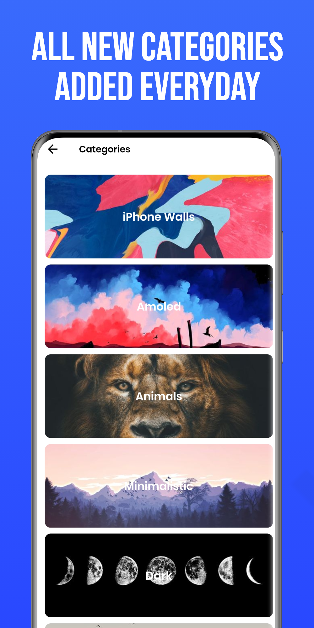 Wallpapersh gallery image