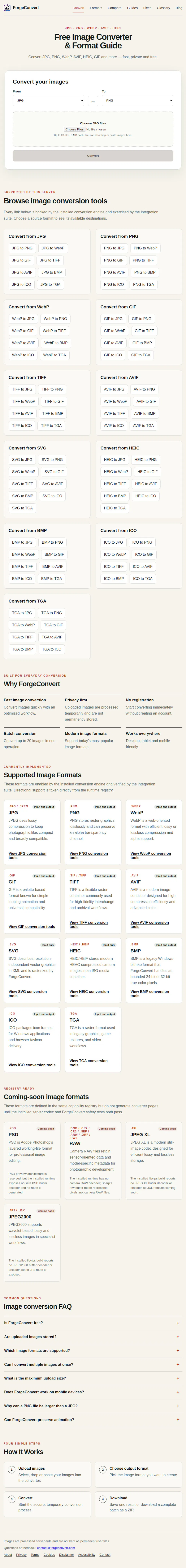ForgeConvert screenshot 11