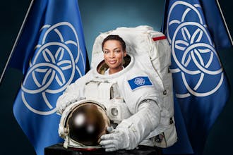 The International Flag of Planet Earth gallery image