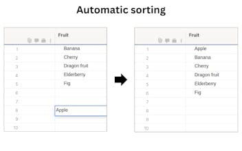 SSFeatures gallery image