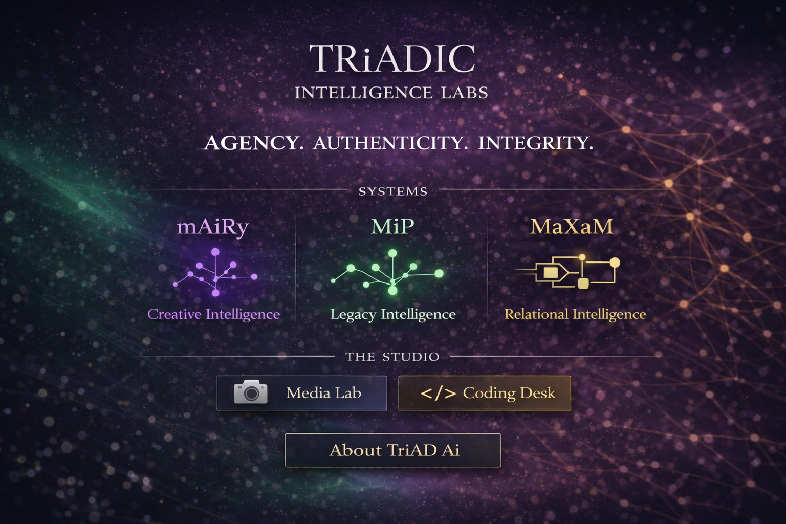 TRiADiC Intelligence Labs  - Main product screenshot demonstrating key features and user interface