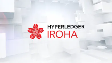 Join the Future of Web3 with Hyperledger gallery image