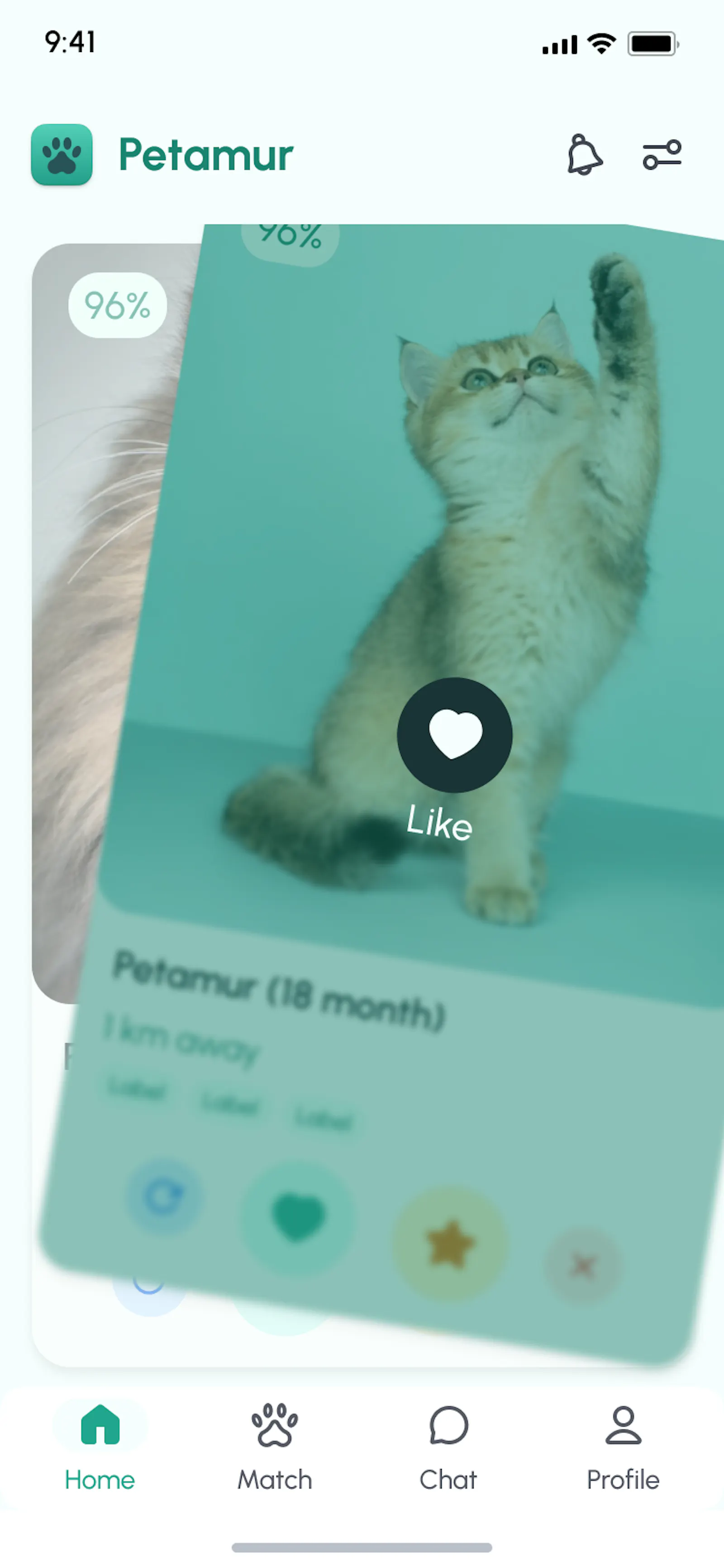 Petamur screenshot 6
