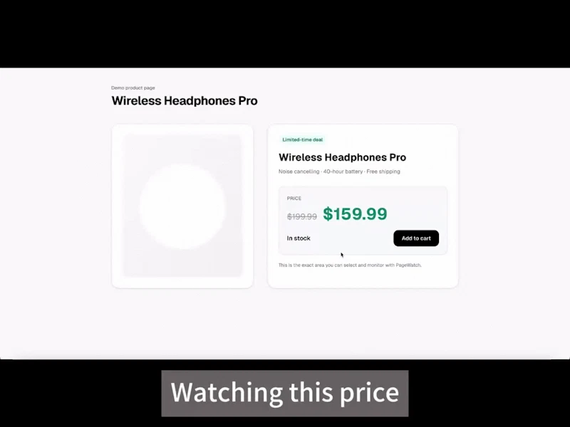 PageWatch screenshot 1 (video preview)