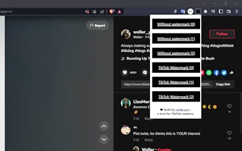 TikTok Video Downloader gallery image