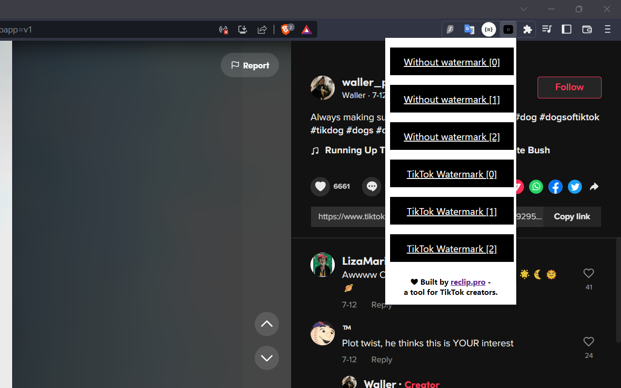 Descargador de video tikok media 2