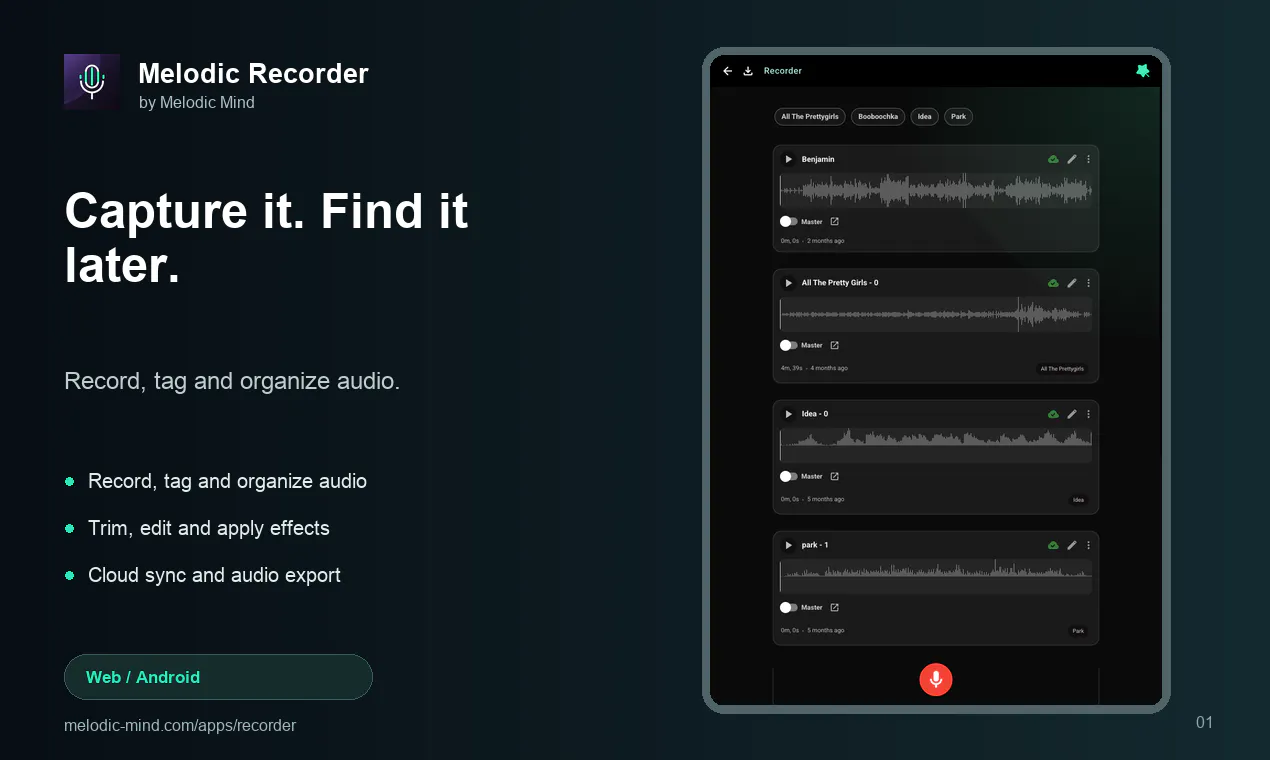 Melodic Recorder gallery image
