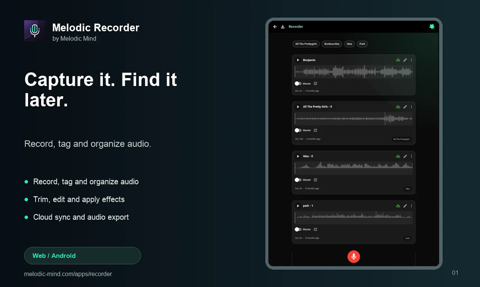 Melodic Recorder screenshot 1