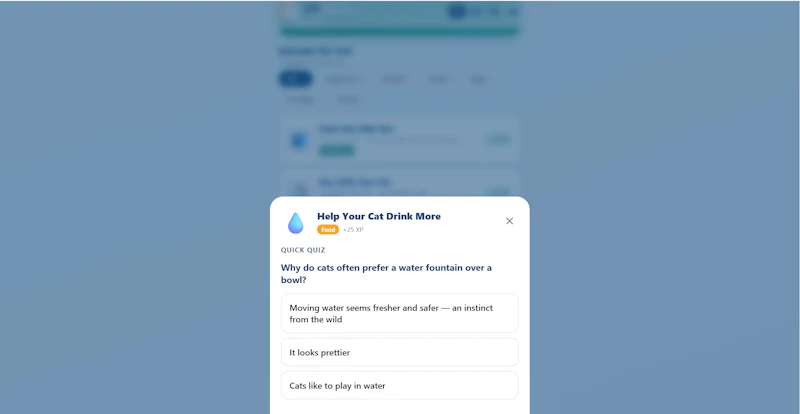 TailsAbode Pawly screenshot 4