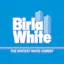 Birla White Excel Putty