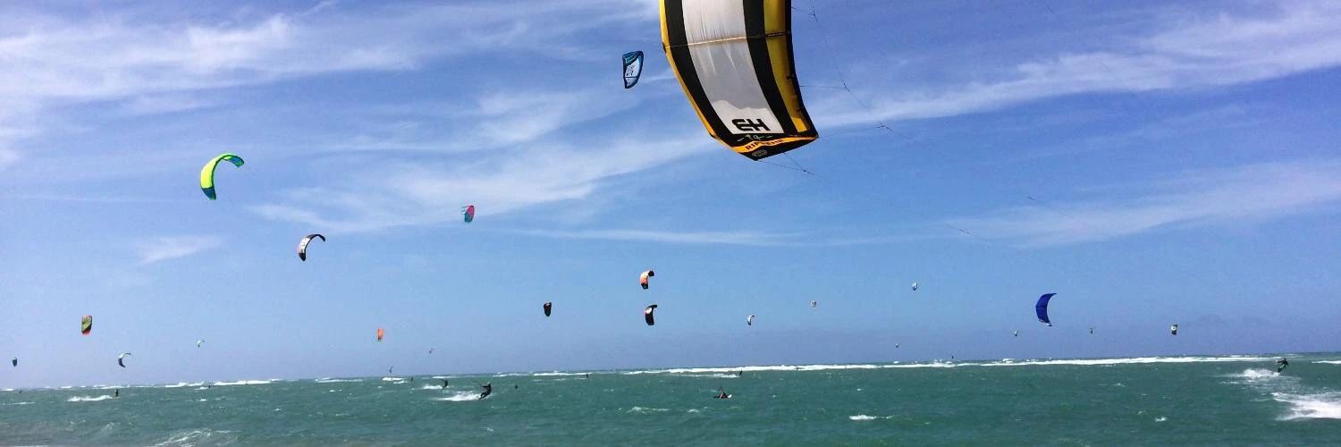 Tom Limongello cover