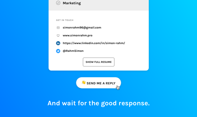 SkyResume gallery image