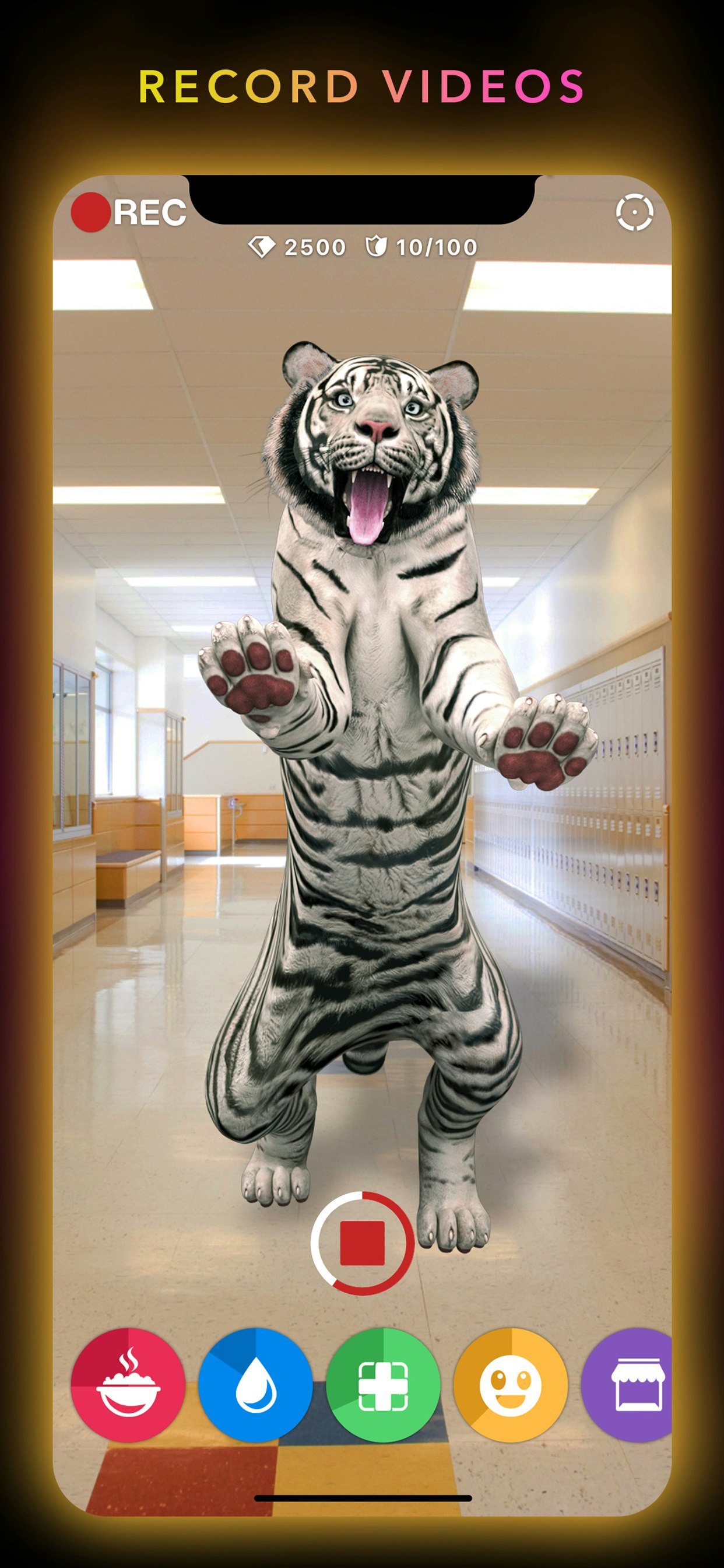 Animar gallery image