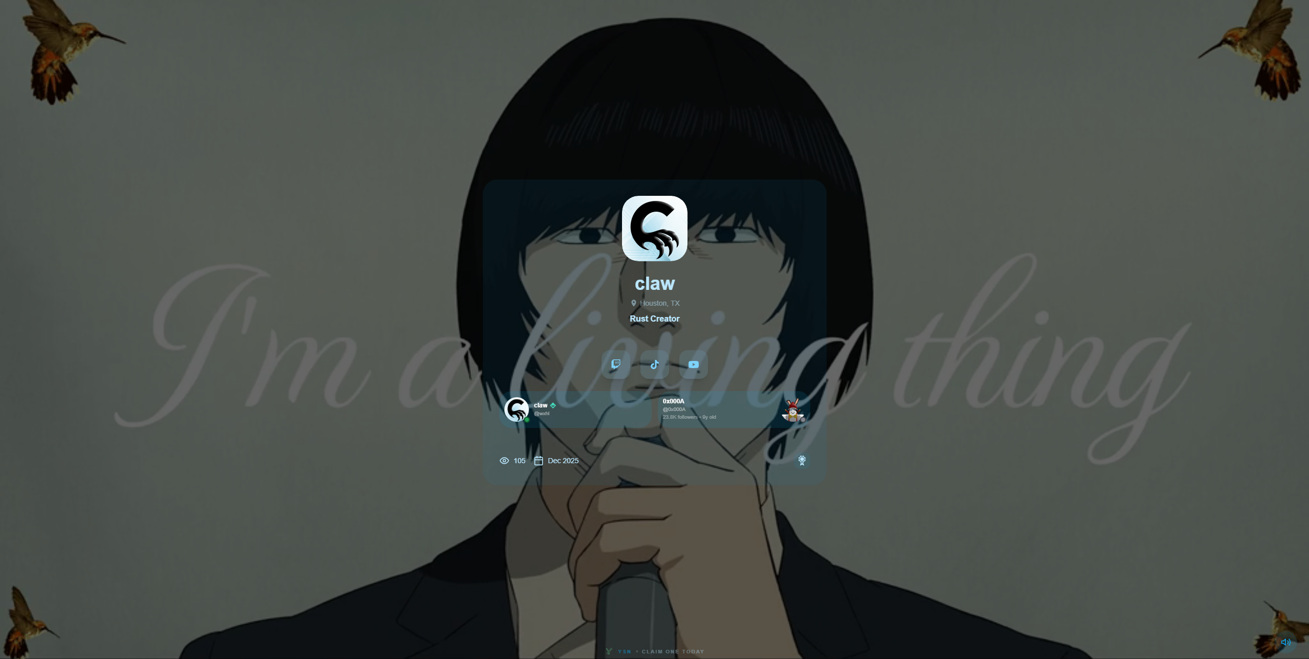 ysn.lol gallery image