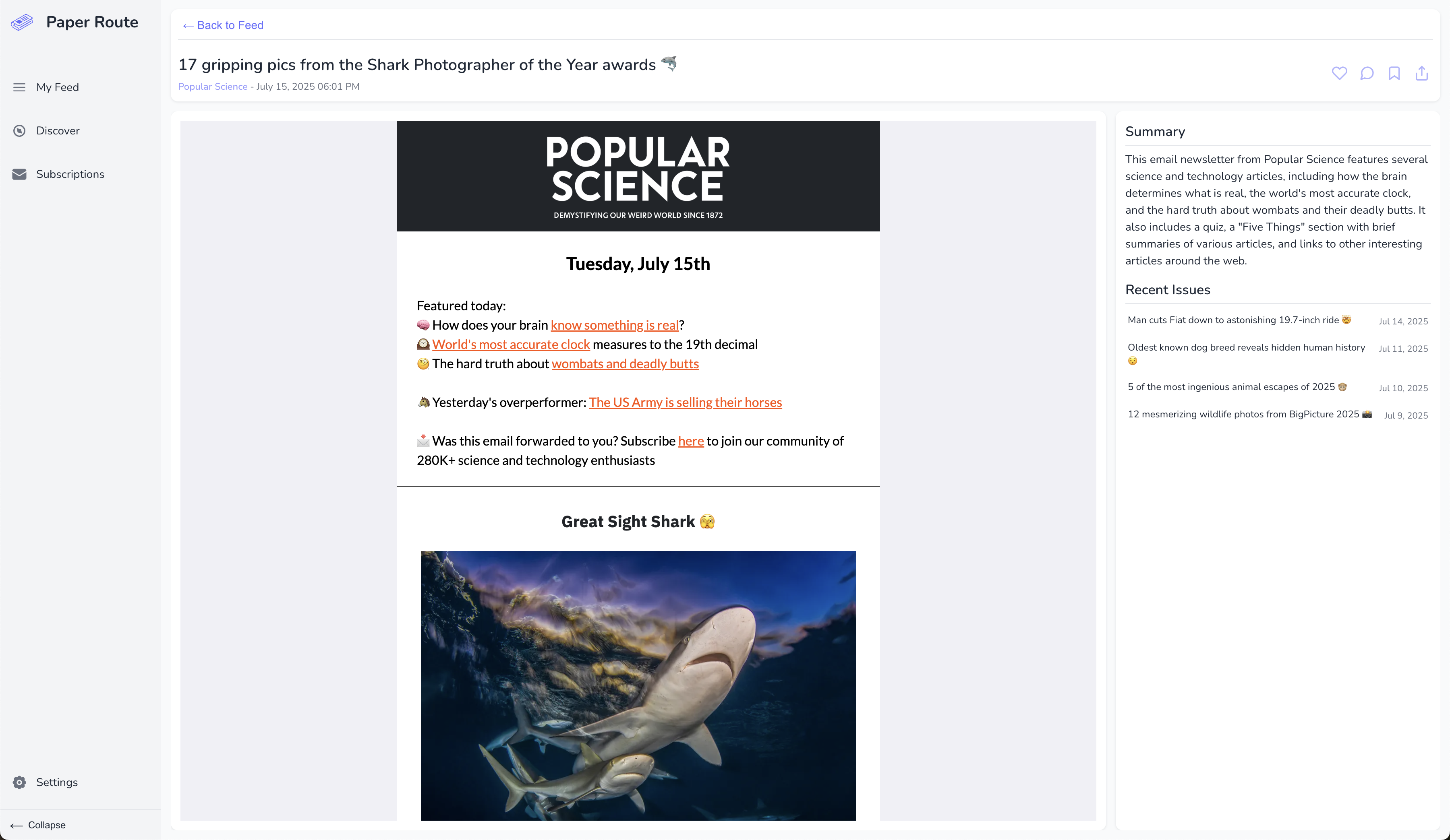 Paper Route gallery image