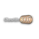 CastIn2007