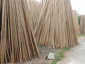 Nguyên Liệu Tre gallery image